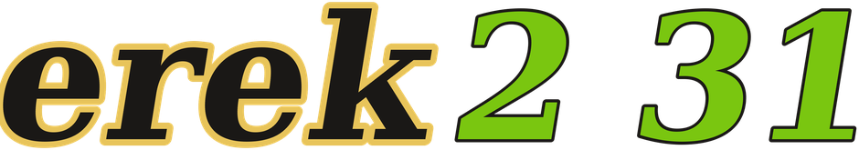 erek2 31 logo